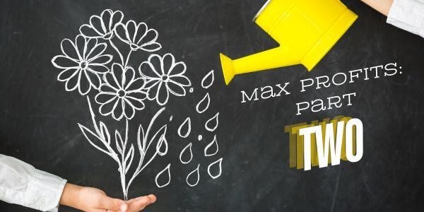 Yellow watering can watering chalk-drawn flowers with text Max Profits: Part Two on blackboard background