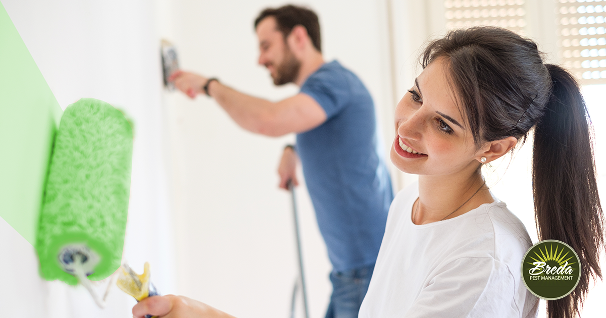 What To Do When Moving Into A New Home Breda Pest Management