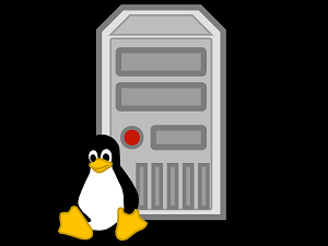 New Panchan Botnet Targets Linux Servers | BroCoTec