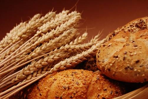 Grains and Bread