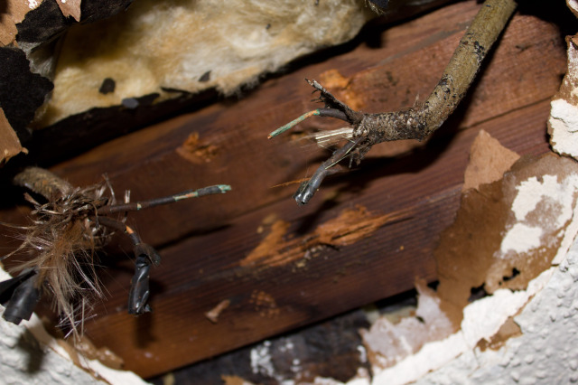Is my old house wiring safe? | Estes Services