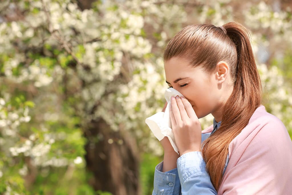 Indoor Air Quality Solutions for Spring Allergies Atlanta | Estes Services