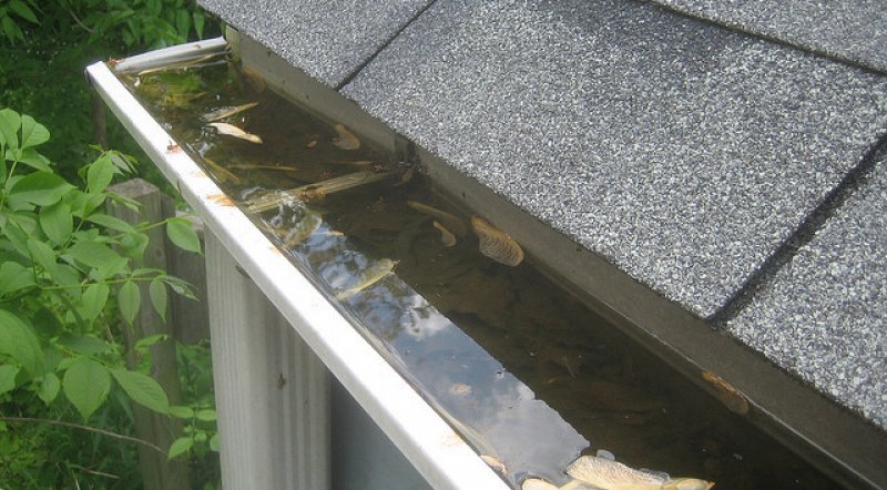 Clogged Gutter