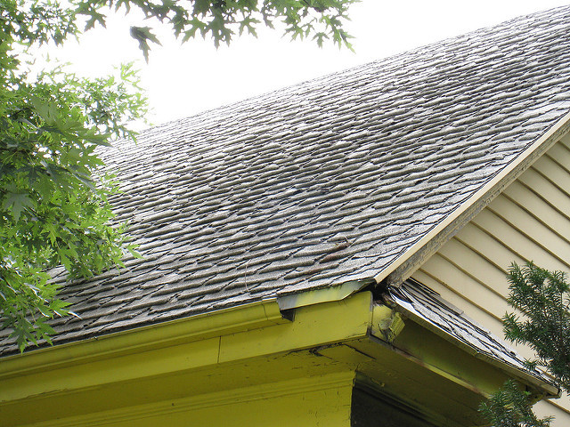 Wet old shingles starting to rot