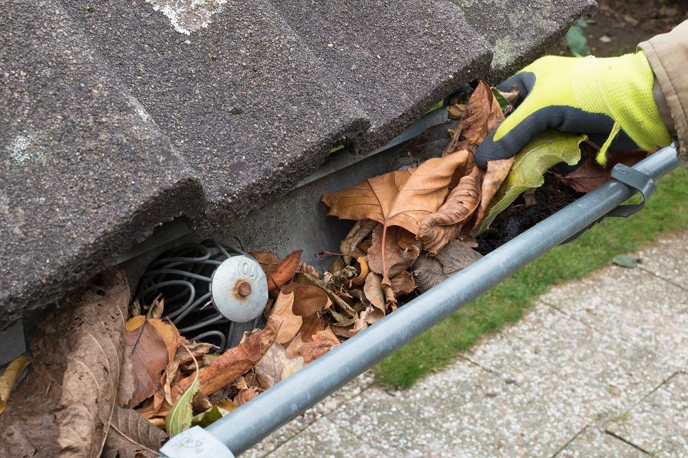 Clean out gutter