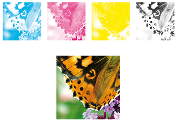 Printing Lingo: What is 4-Color Process Printing?