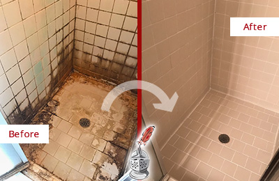 Before and after picture of restoration of a tile shower plagued with mold and soap scum