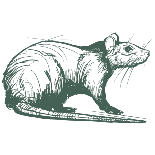 pest control icon