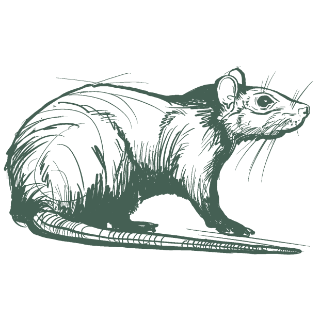 pest control icon