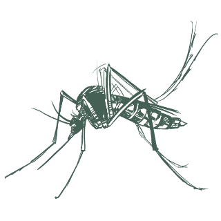 pest control icon