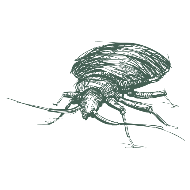 pest control icon