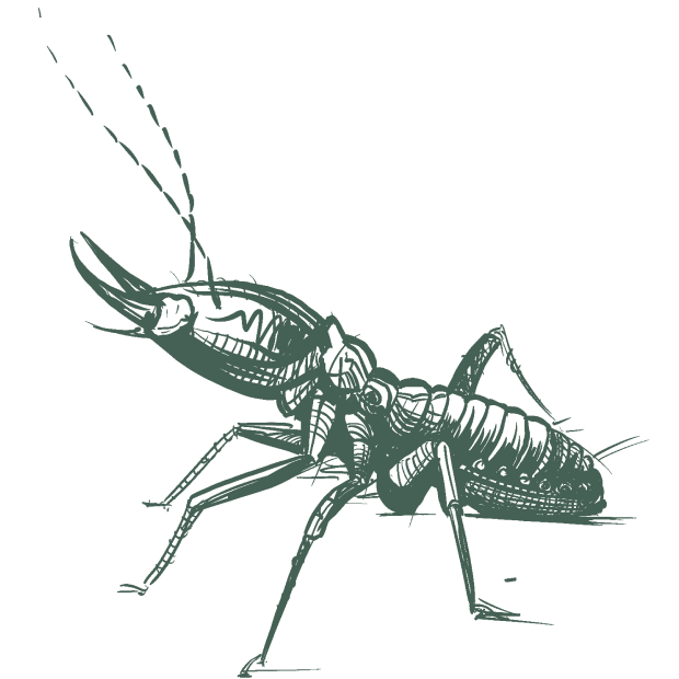 pest control icon