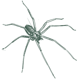 pest control icon