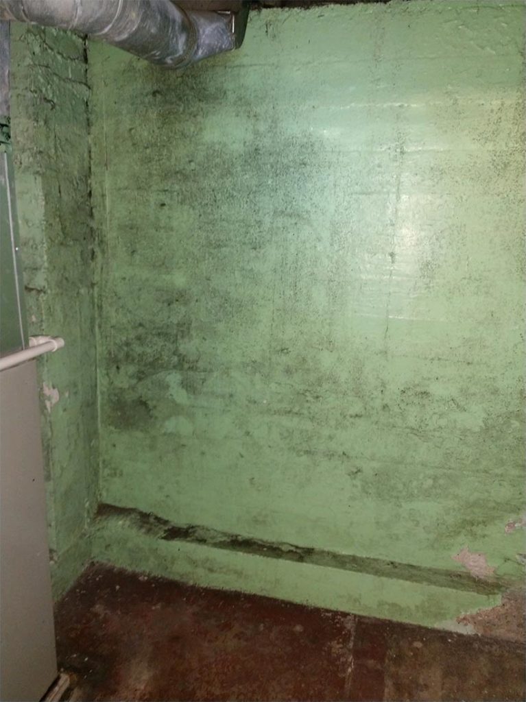 Where Do I Look For Mold In My Home?