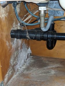 It's national mold awareness month