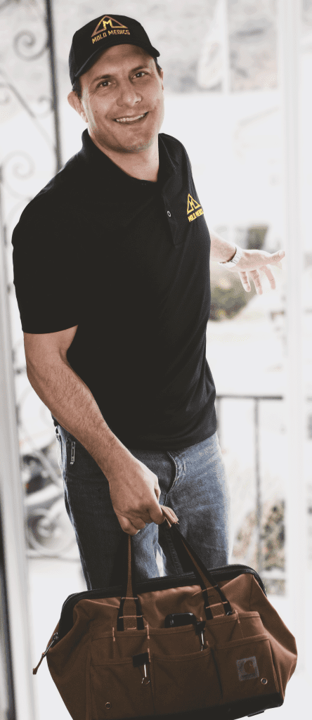 It's national mold awareness month