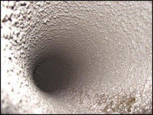 mold growth in air duct