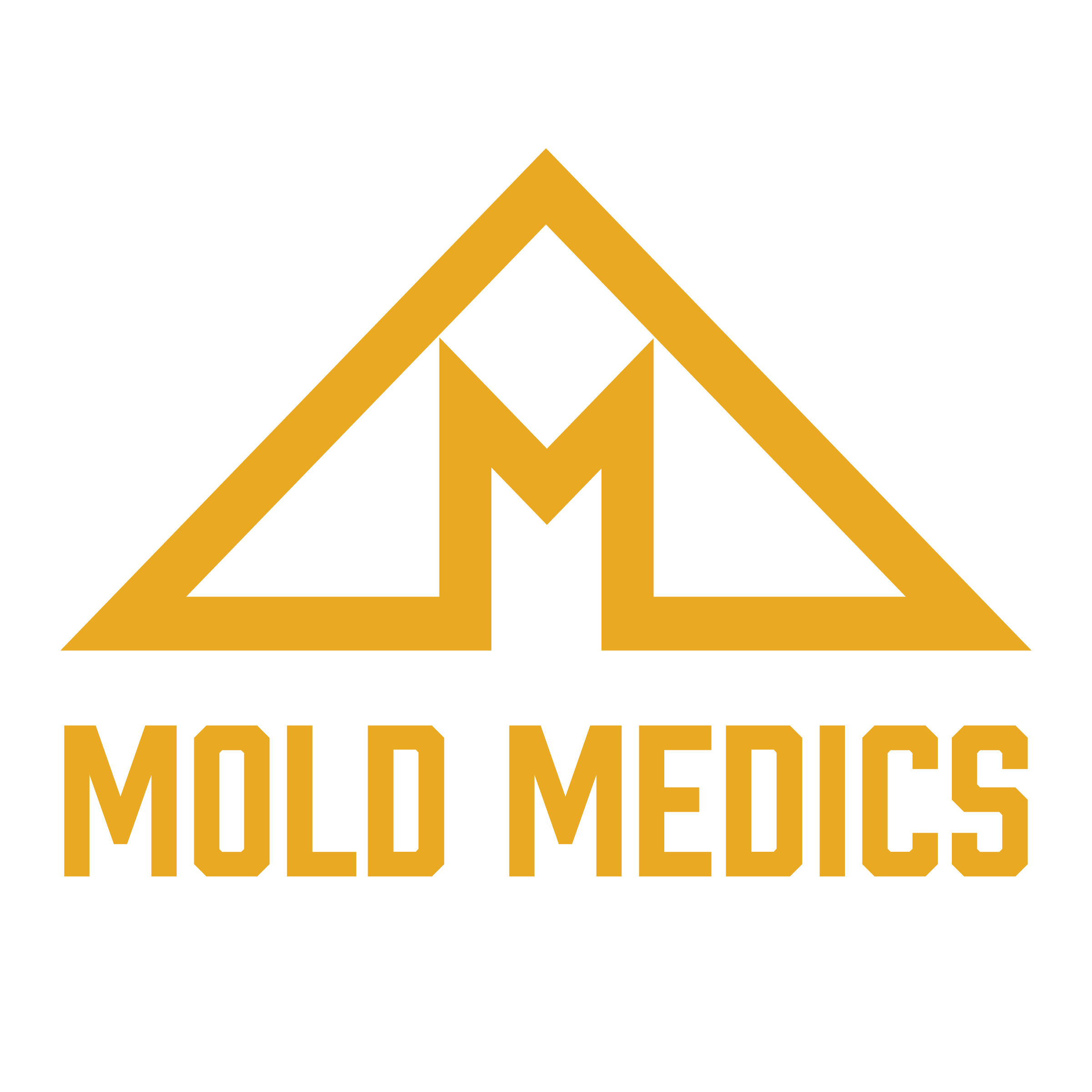 Mold Medics