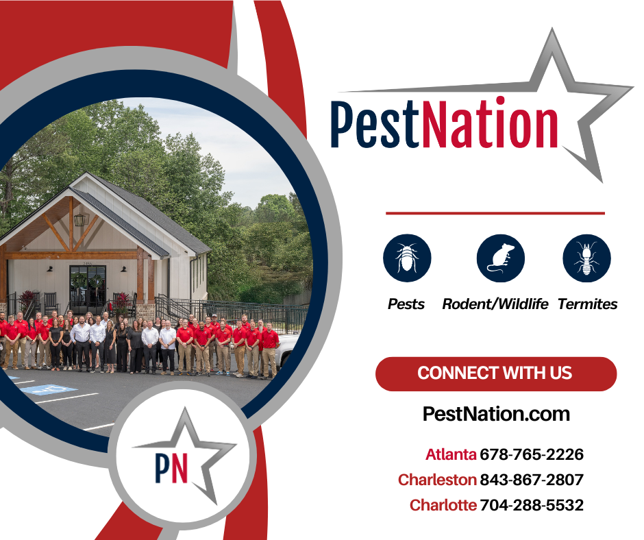 Pest Control in Decatur | PestNation | PestNation