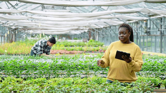 a woman standing in a greenhouse