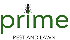 Prime Pest and Lawn - Las Cruces - Business Photo