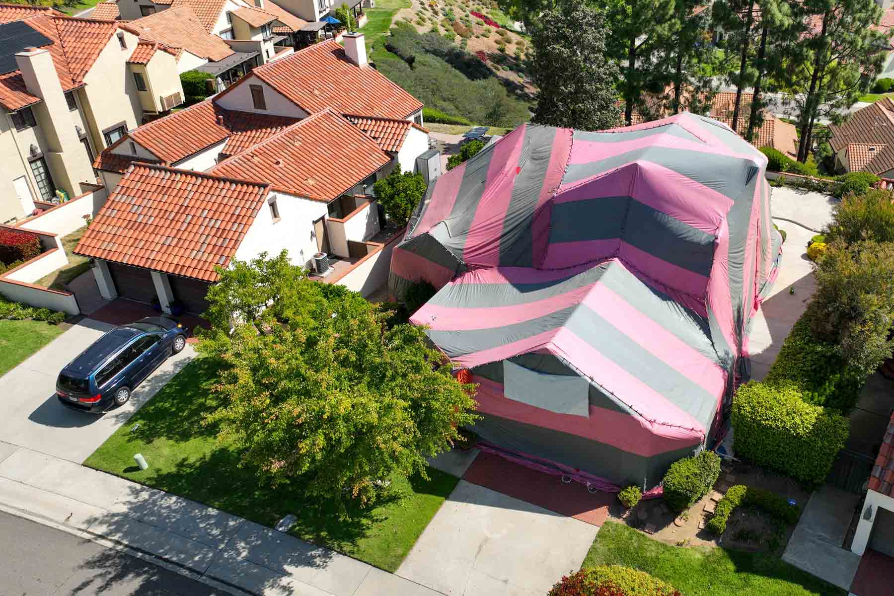 Drywood Vs Subterranean Termites When Is Termite Tenting Actually Photo Inspiration