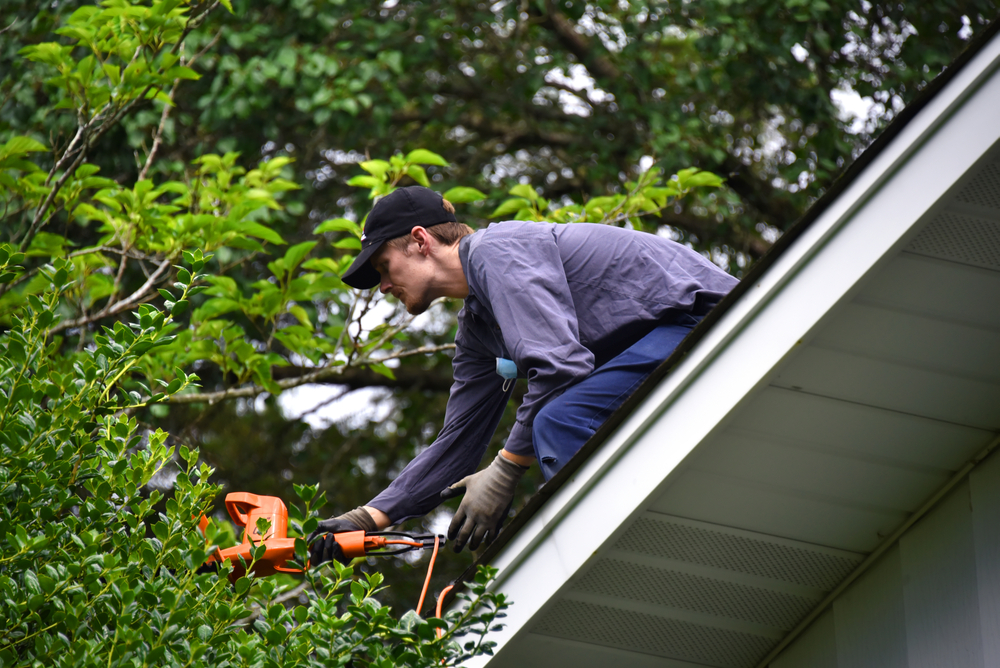 Trimming trees back from residential roof to prevent storm damage.