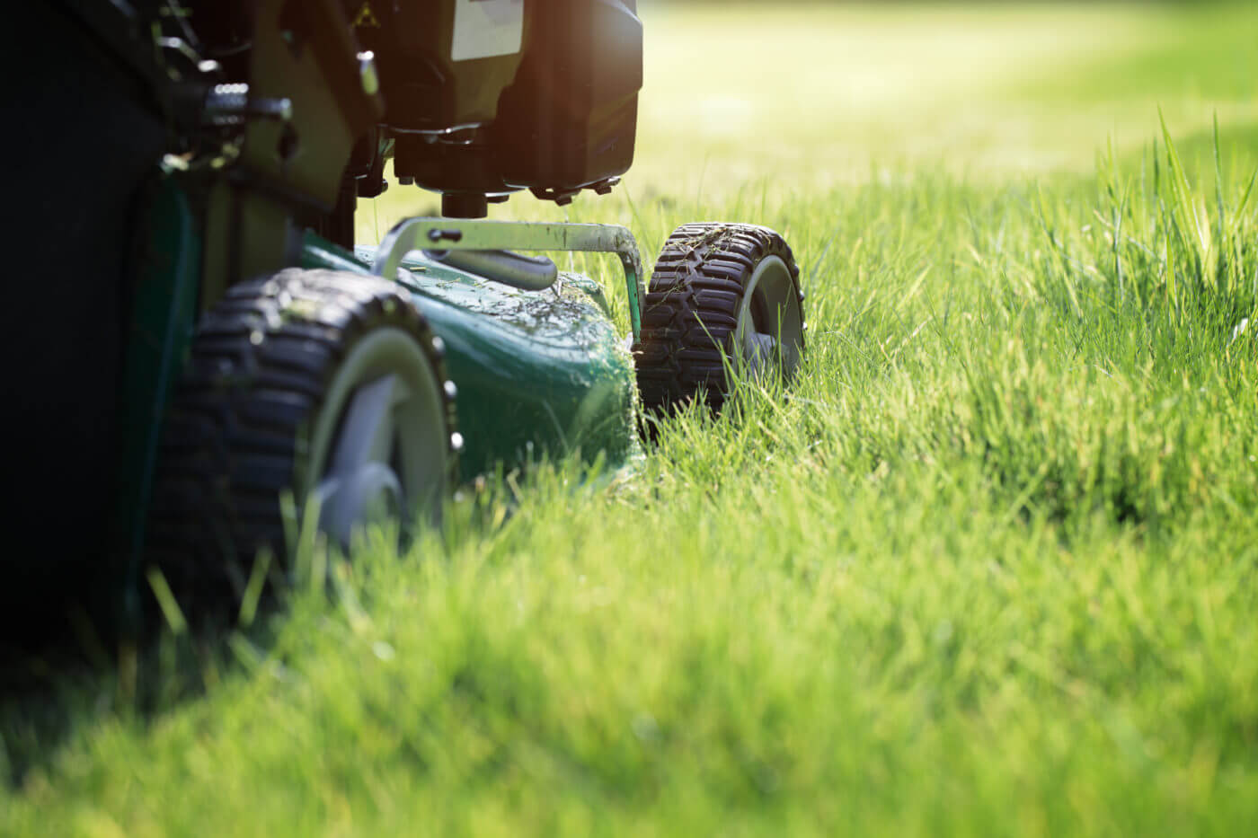 Mowing warm season grass