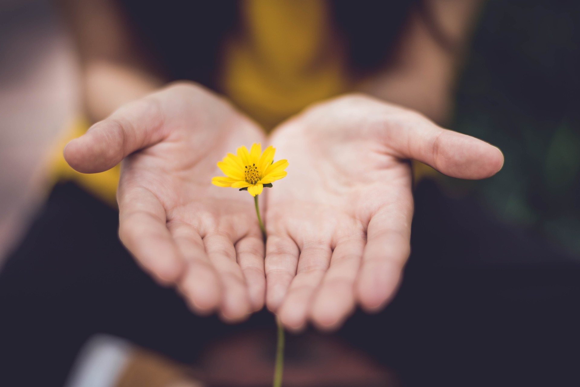 Bridge House to Host 27th Annual Women of Substance Luncheon | Where Y ...