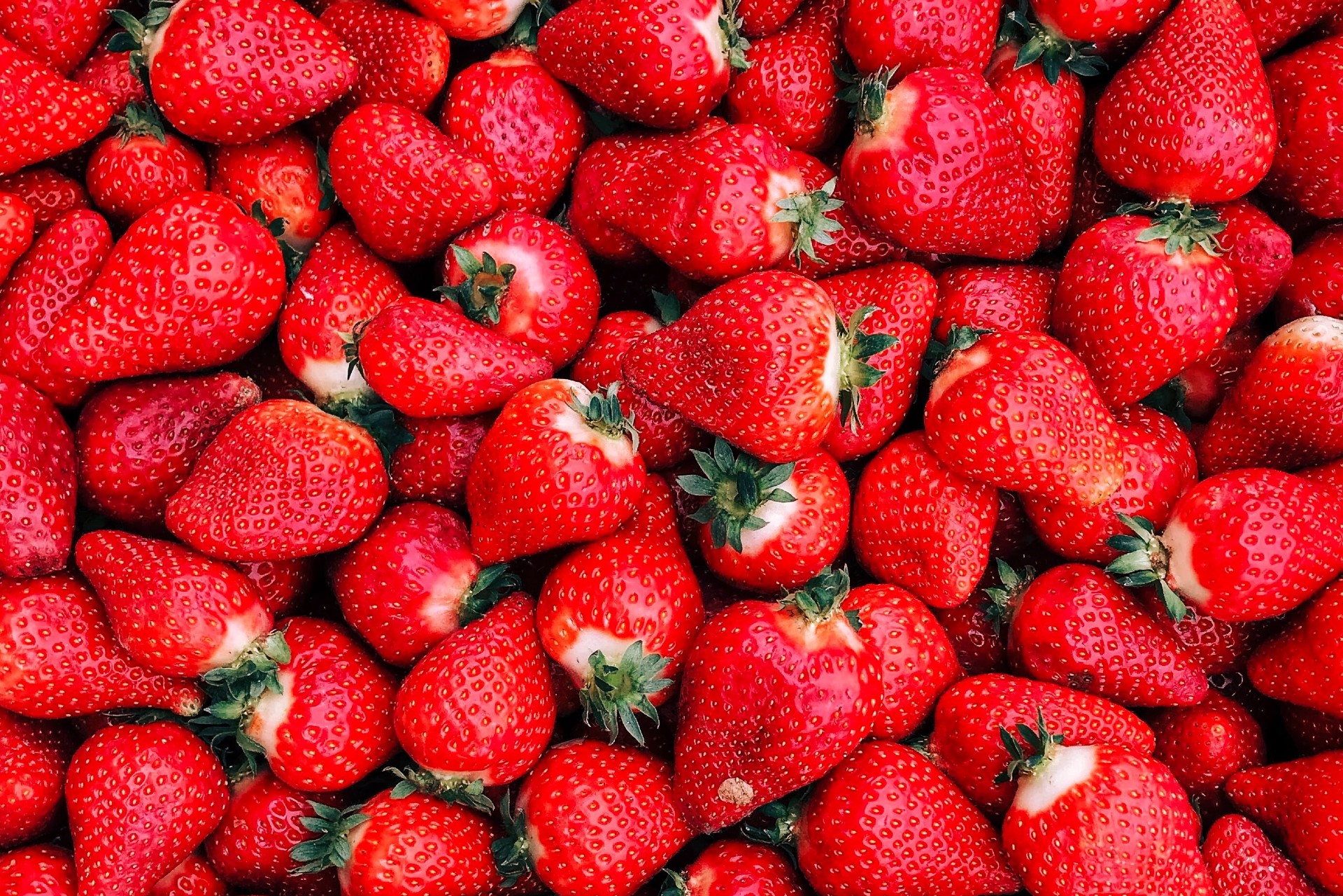 Louisiana It's the Berries Where Y'at New Orleans