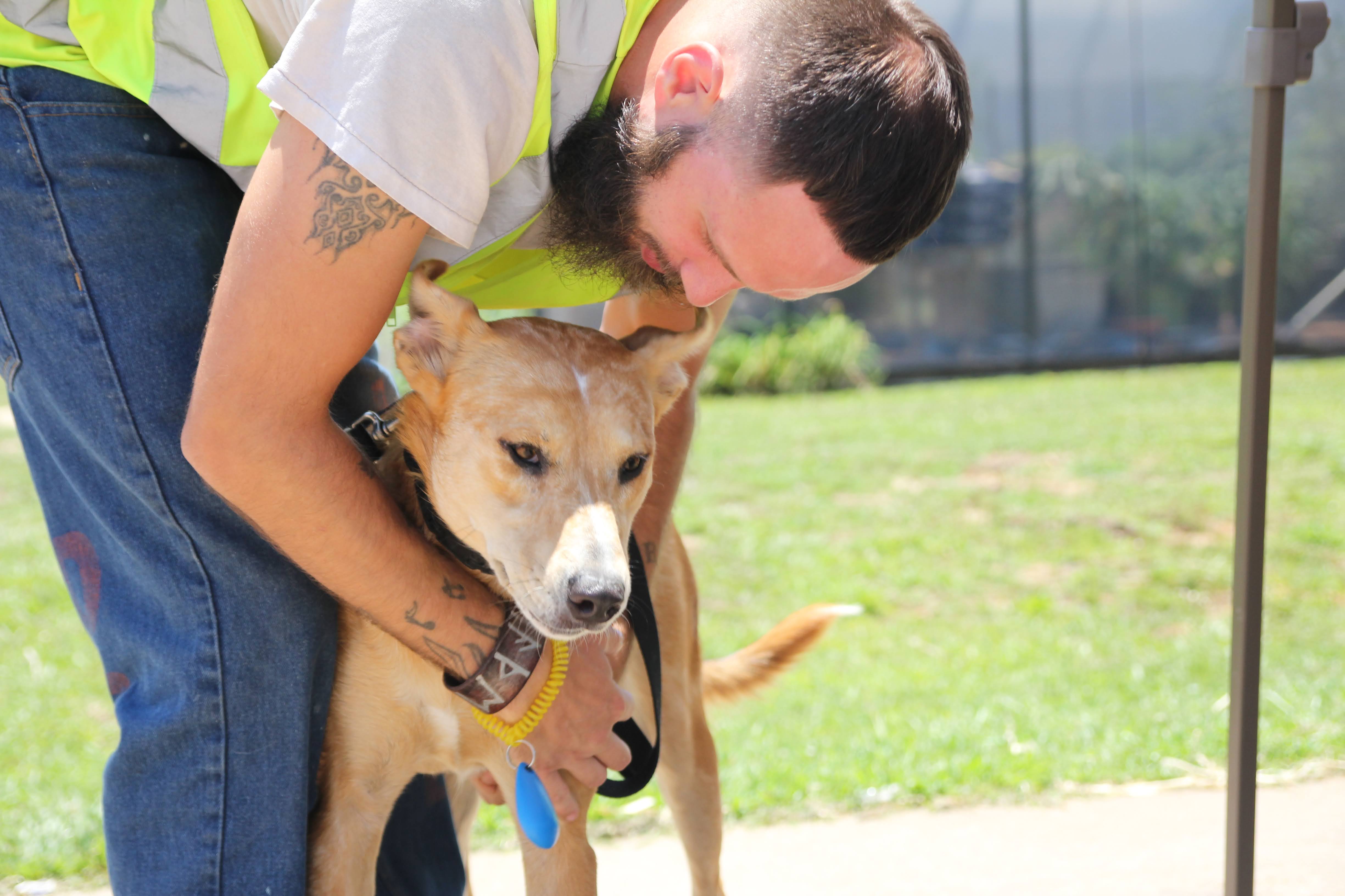 Pets in Prison Rehabilitating Lives—Starting With Their Own | Where Y ...