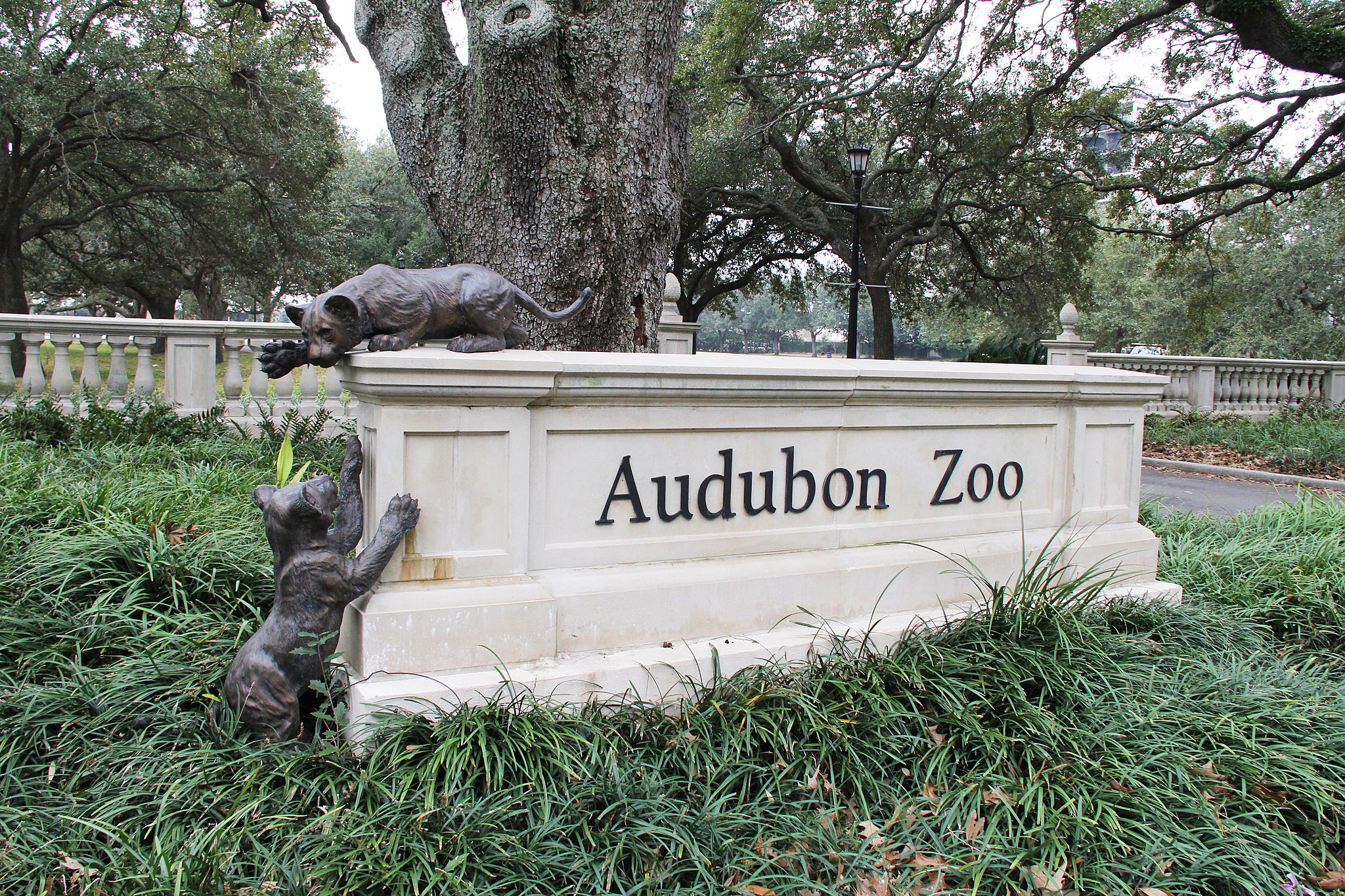 annual-hancock-whitney-zoo-to-do-cancelled-but-online-auction-to-be
